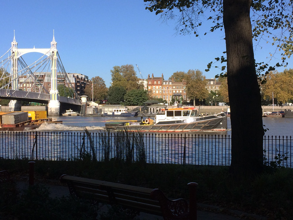 TripEnd_London7_Chelsea_ViewOfAlbertBridge